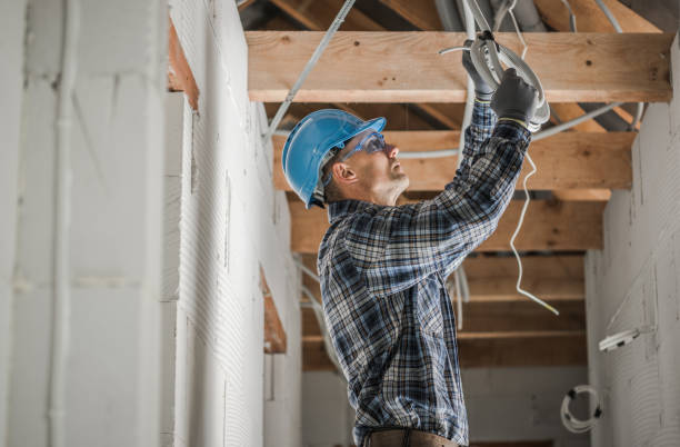Best Electric Panel Repair  in Oyster Creek, TX